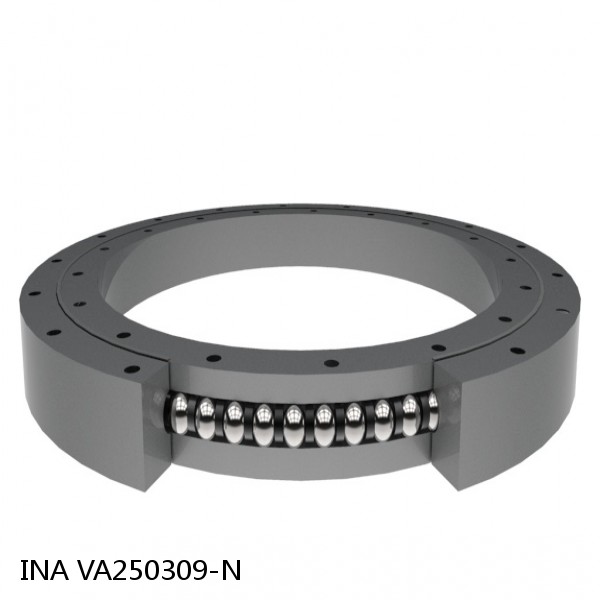 VA250309-N INA Slewing Ring Bearings