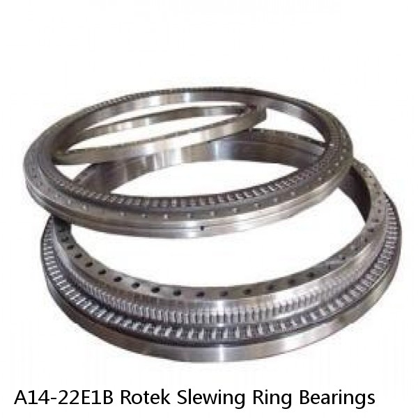 A14-22E1B Rotek Slewing Ring Bearings