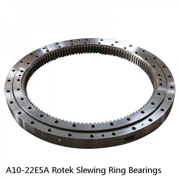 A10-22E5A Rotek Slewing Ring Bearings