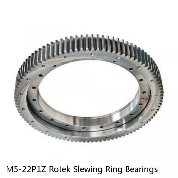 M5-22P1Z Rotek Slewing Ring Bearings