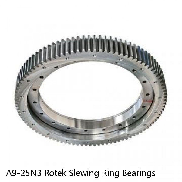 A9-25N3 Rotek Slewing Ring Bearings