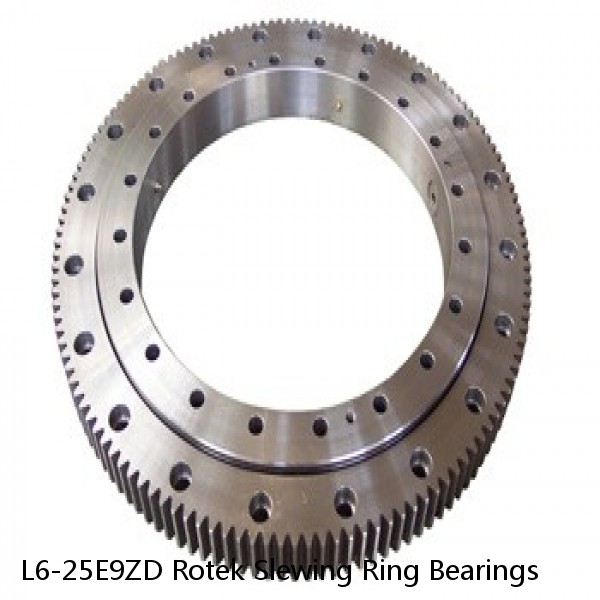 L6-25E9ZD Rotek Slewing Ring Bearings