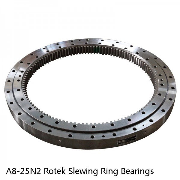 A8-25N2 Rotek Slewing Ring Bearings