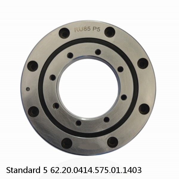 62.20.0414.575.01.1403 Standard 5 Slewing Ring Bearings