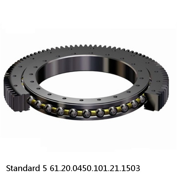 61.20.0450.101.21.1503 Standard 5 Slewing Ring Bearings