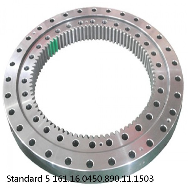 161.16.0450.890.11.1503 Standard 5 Slewing Ring Bearings