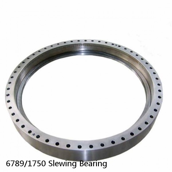 6789/1750 Slewing Bearing