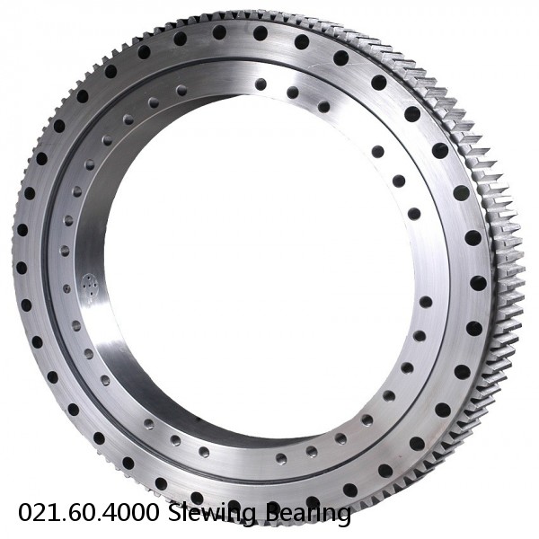 021.60.4000 Slewing Bearing