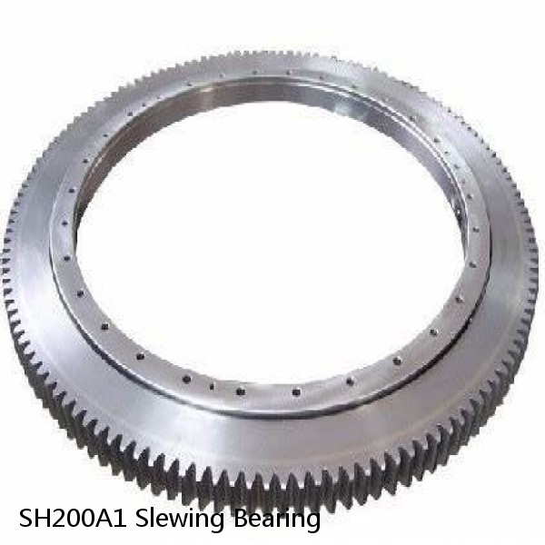 SH200A1 Slewing Bearing