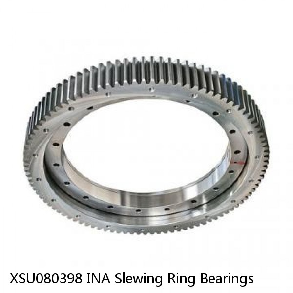 XSU080398 INA Slewing Ring Bearings