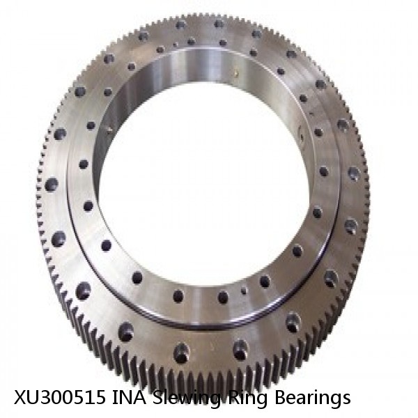 XU300515 INA Slewing Ring Bearings