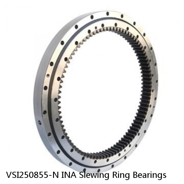 VSI250855-N INA Slewing Ring Bearings