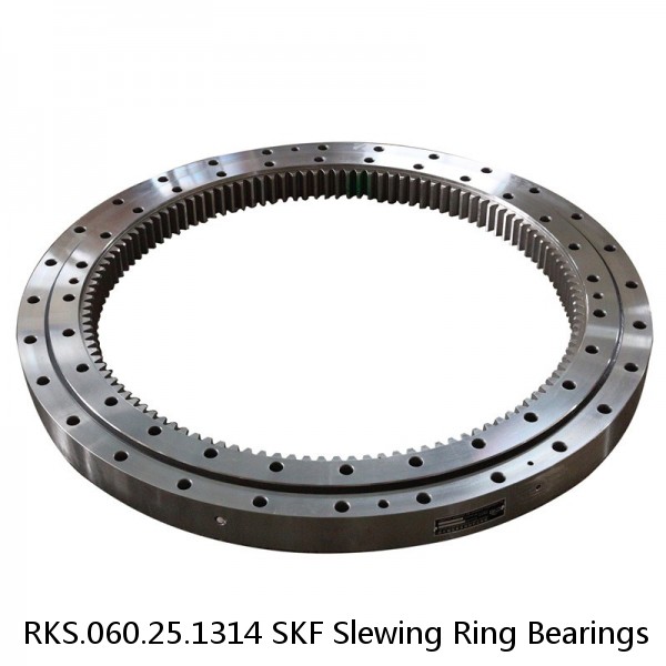 RKS.060.25.1314 SKF Slewing Ring Bearings