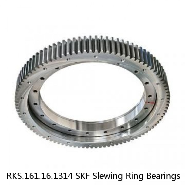 RKS.161.16.1314 SKF Slewing Ring Bearings