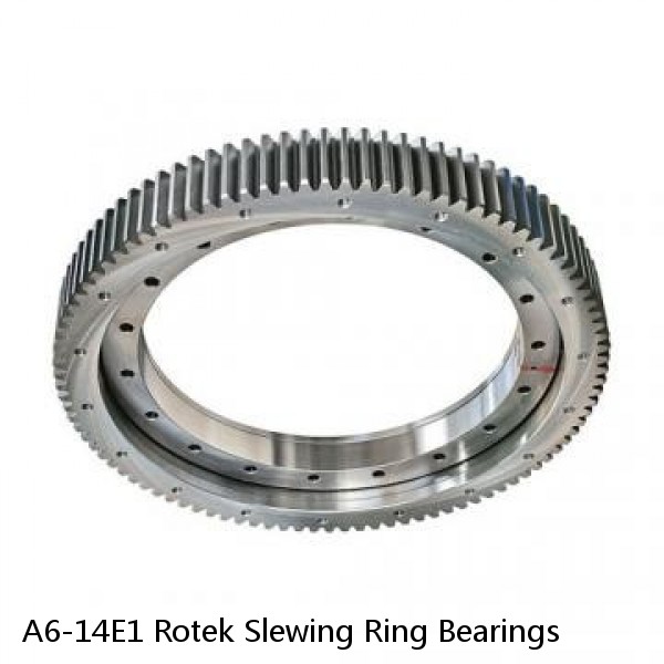 A6-14E1 Rotek Slewing Ring Bearings