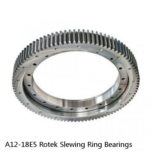 A12-18E5 Rotek Slewing Ring Bearings