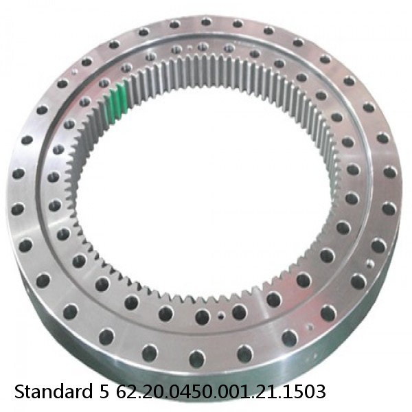 62.20.0450.001.21.1503 Standard 5 Slewing Ring Bearings