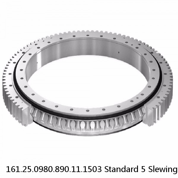 161.25.0980.890.11.1503 Standard 5 Slewing Ring Bearings