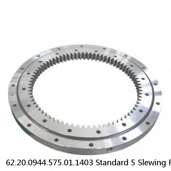 62.20.0944.575.01.1403 Standard 5 Slewing Ring Bearings