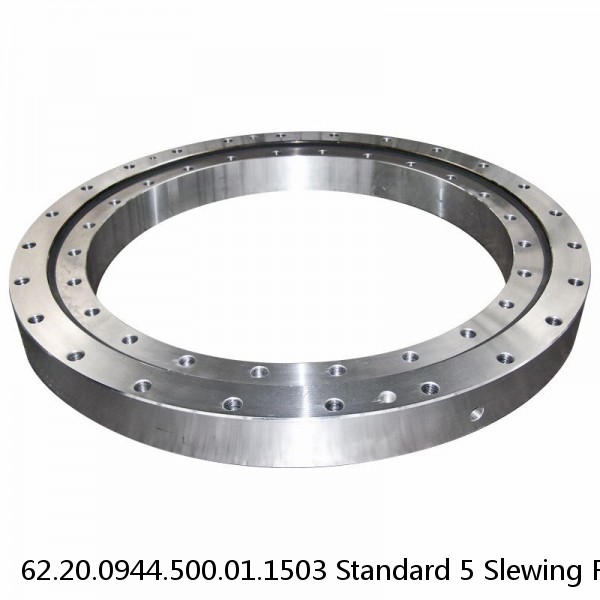 62.20.0944.500.01.1503 Standard 5 Slewing Ring Bearings