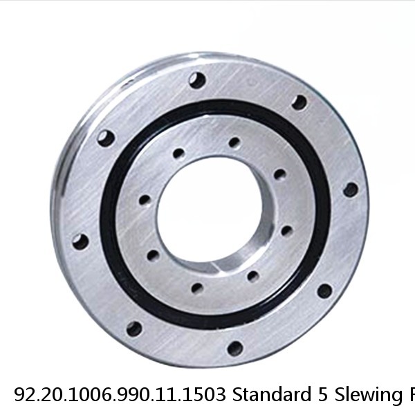 92.20.1006.990.11.1503 Standard 5 Slewing Ring Bearings