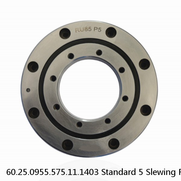 60.25.0955.575.11.1403 Standard 5 Slewing Ring Bearings