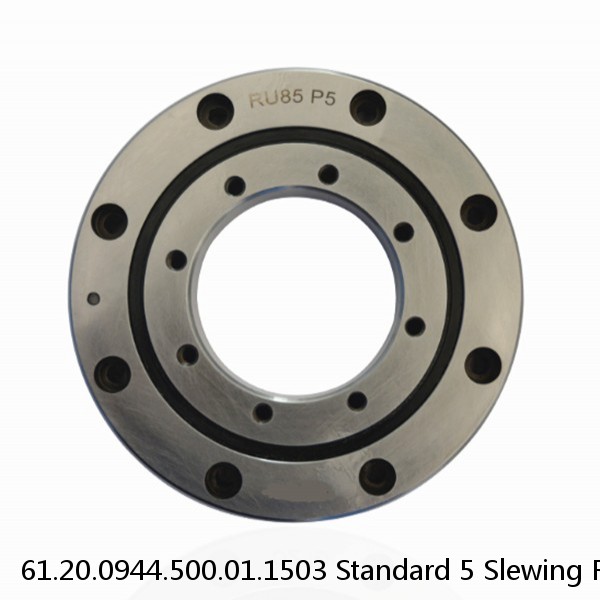 61.20.0944.500.01.1503 Standard 5 Slewing Ring Bearings