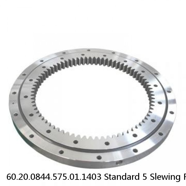 60.20.0844.575.01.1403 Standard 5 Slewing Ring Bearings