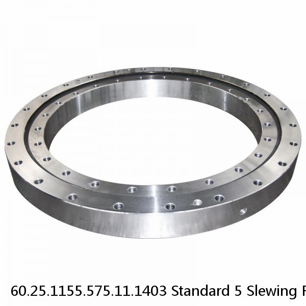 60.25.1155.575.11.1403 Standard 5 Slewing Ring Bearings