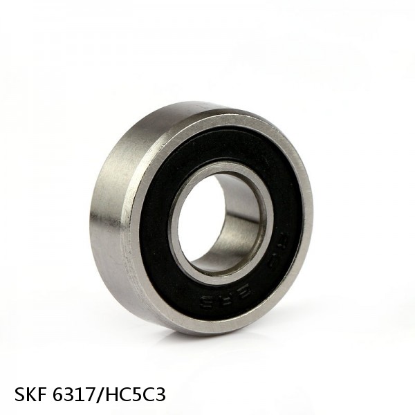 6317/HC5C3 SKF Hybrid Deep Groove Ball Bearings