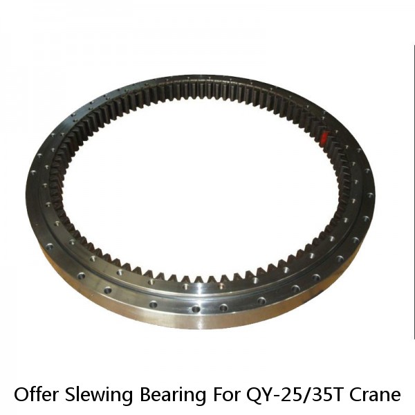 Offer Slewing Bearing For QY-25/35T Crane