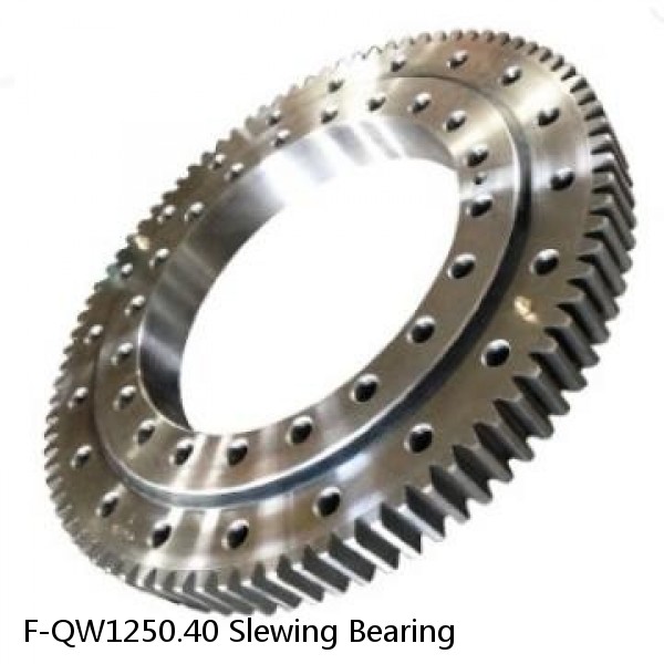 F-QW1250.40 Slewing Bearing