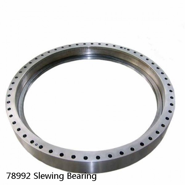 78992 Slewing Bearing