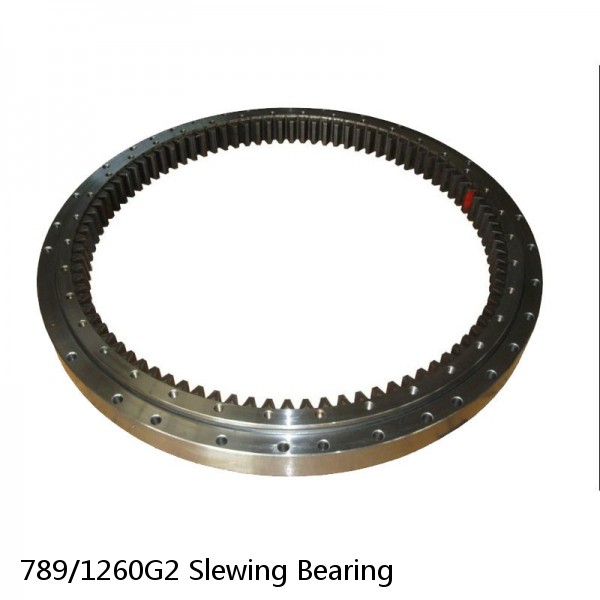 789/1260G2 Slewing Bearing