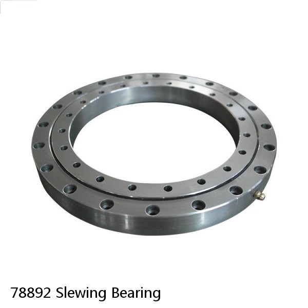 78892 Slewing Bearing