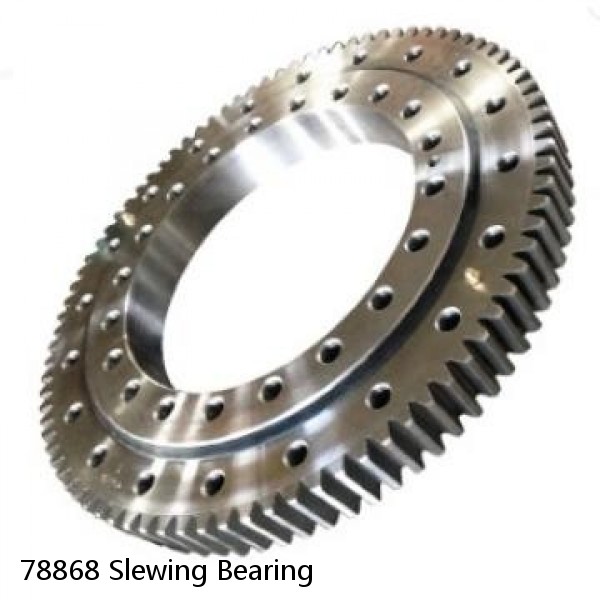 78868 Slewing Bearing