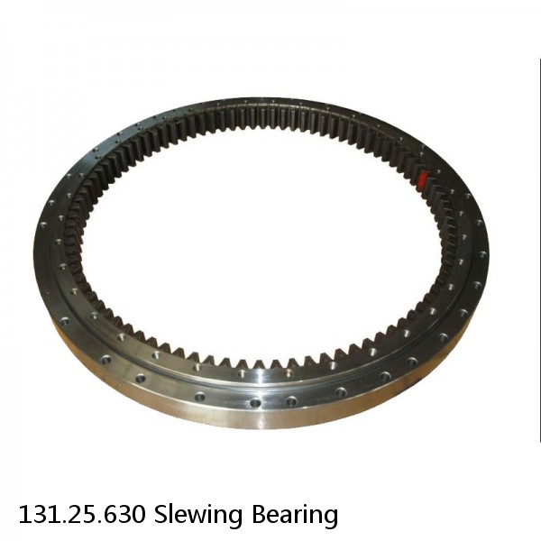 131.25.630 Slewing Bearing