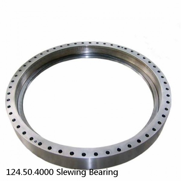 124.50.4000 Slewing Bearing