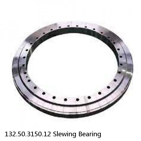 132.50.3150.12 Slewing Bearing