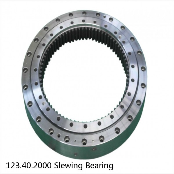 123.40.2000 Slewing Bearing