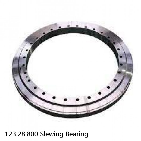 123.28.800 Slewing Bearing