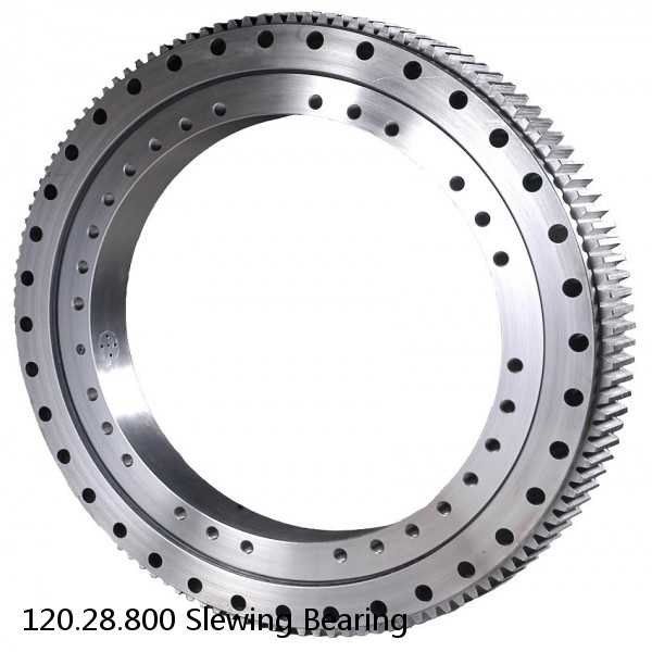 120.28.800 Slewing Bearing