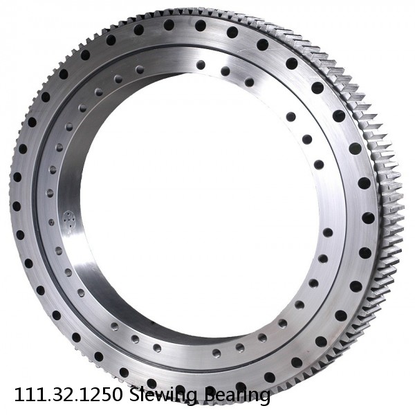 111.32.1250 Slewing Bearing