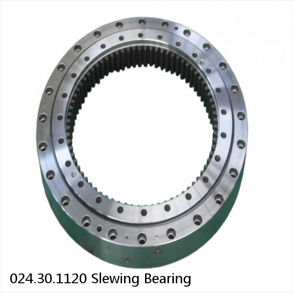 024.30.1120 Slewing Bearing