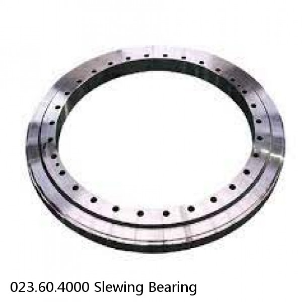 023.60.4000 Slewing Bearing