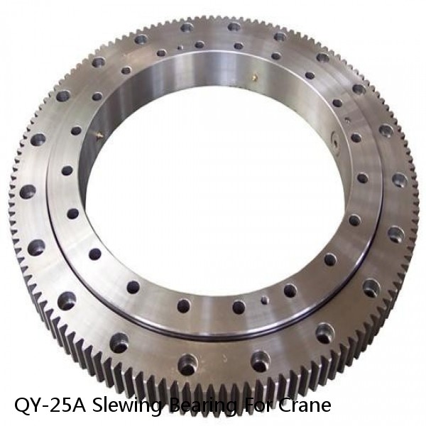 QY-25A Slewing Bearing For Crane
